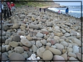 2011-04-16 B14-56-54海岸線沿途景觀.JPG